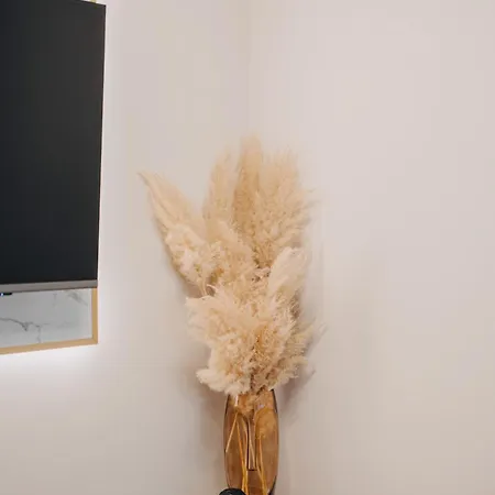 Apartament Masi