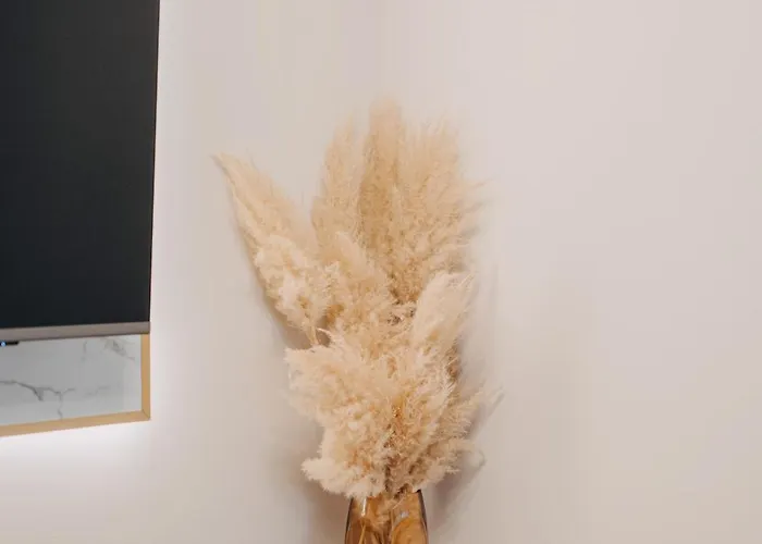 Apartamento Masi